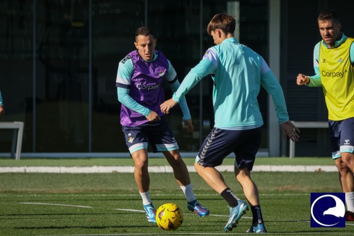 Comienza la última semana del año para el Real Betis